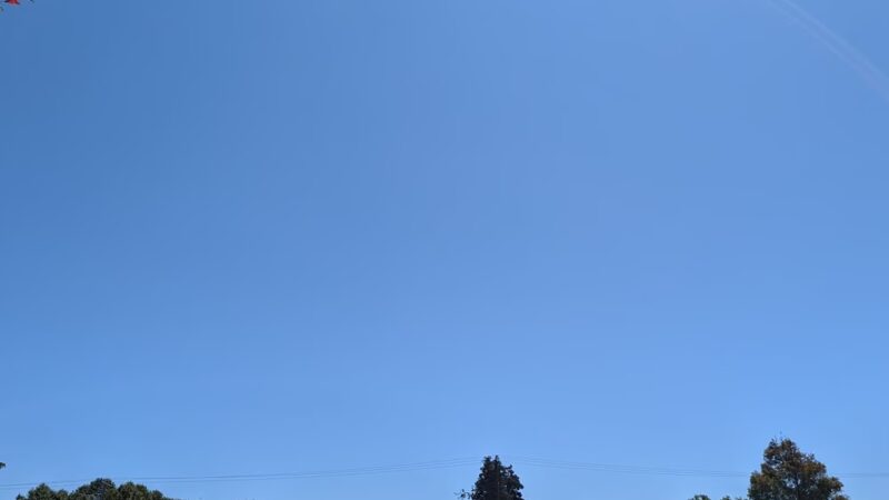 Spreckels Memorial Park - Spreckels, CA