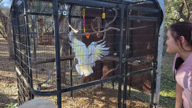 Spring Branch RV Park - Spring Branch, TX
