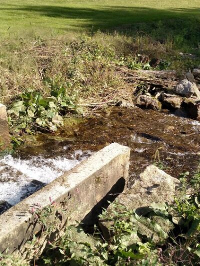 Roverud Park - Spring Grove, MN