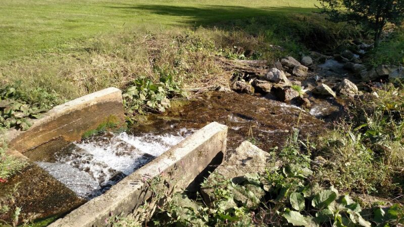 Roverud Park - Spring Grove, MN