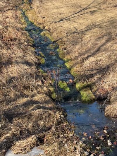 Roverud Park - Spring Grove, MN