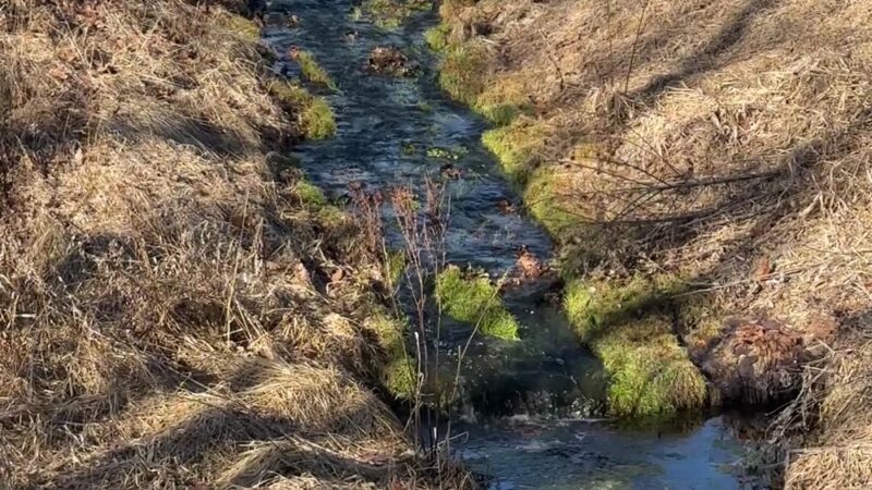 Roverud Park - Spring Grove, MN