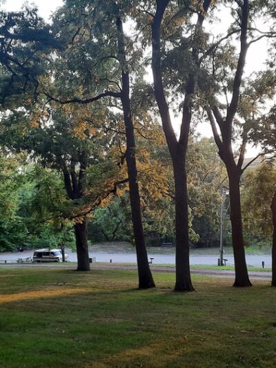 Trollskogen Park - Spring Grove - Spring Grove, MN