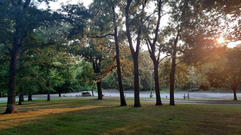 Trollskogen Park - Spring Grove - Spring Grove, MN