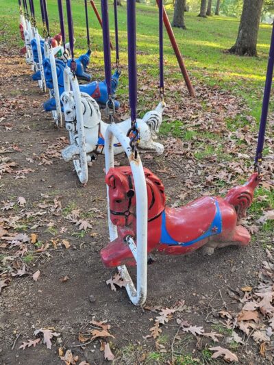 Trollskogen Park - Spring Grove - Spring Grove, MN