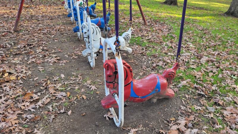 Trollskogen Park - Spring Grove - Spring Grove, MN