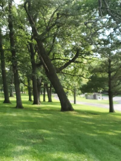 Trollskogen Park - Spring Grove - Spring Grove, MN