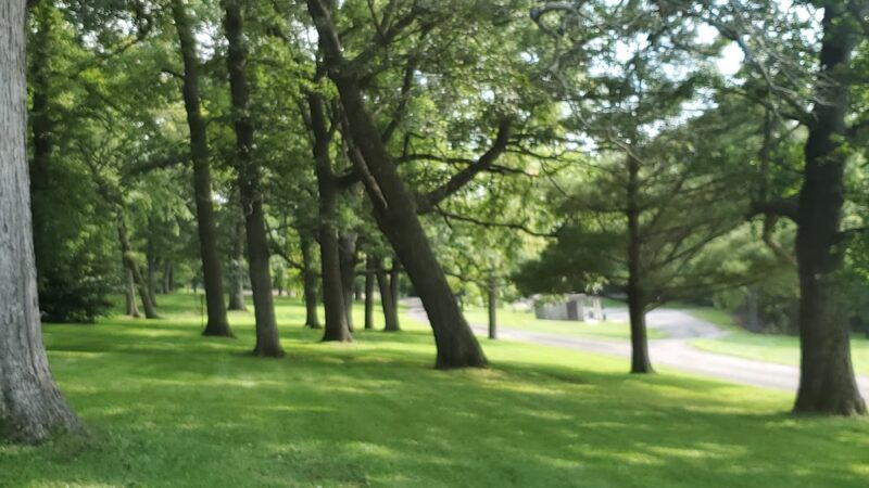 Trollskogen Park - Spring Grove - Spring Grove, MN