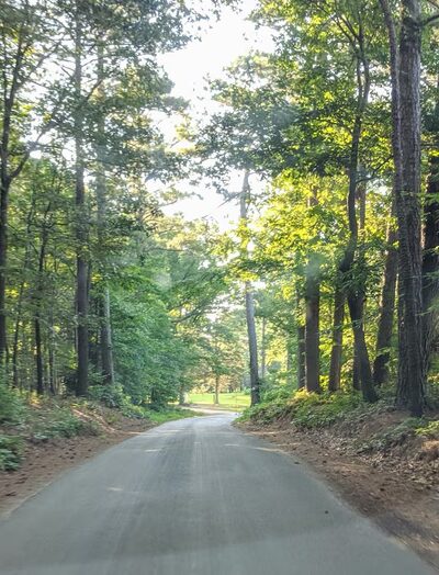 Spring Grove - Spring Grove, VA