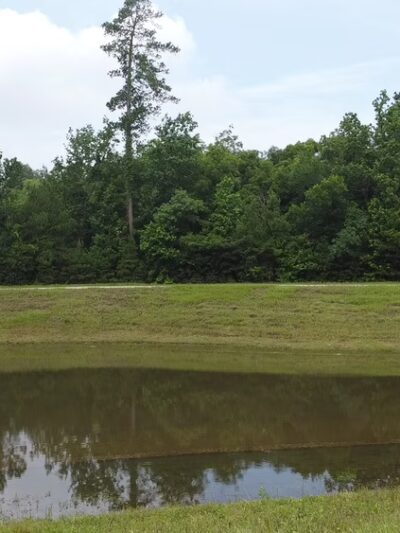 Lake at Springwoods Village Nature Preserve - Spring, TX