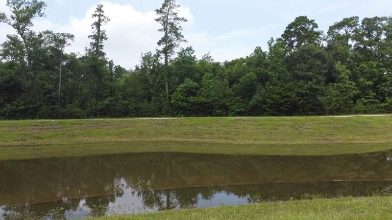 Lake at Springwoods Village Nature Preserve - Spring, TX