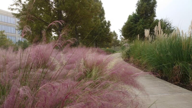 Park - Spring, TX