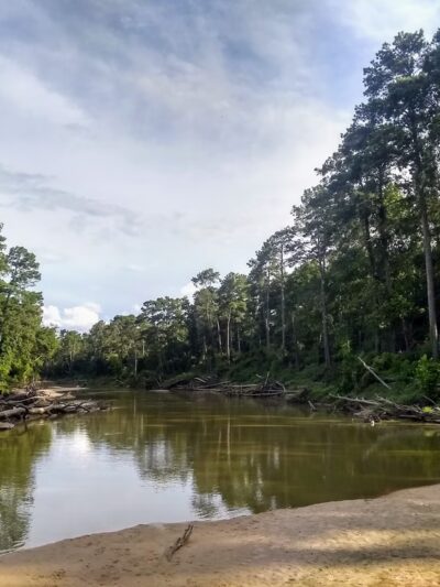 Pundt Park - Spring, TX