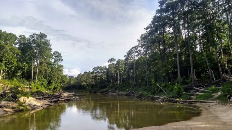 Pundt Park - Spring, TX