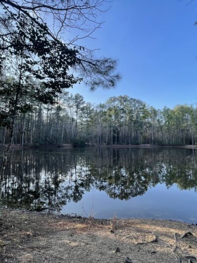 Pundt Park - Spring, TX