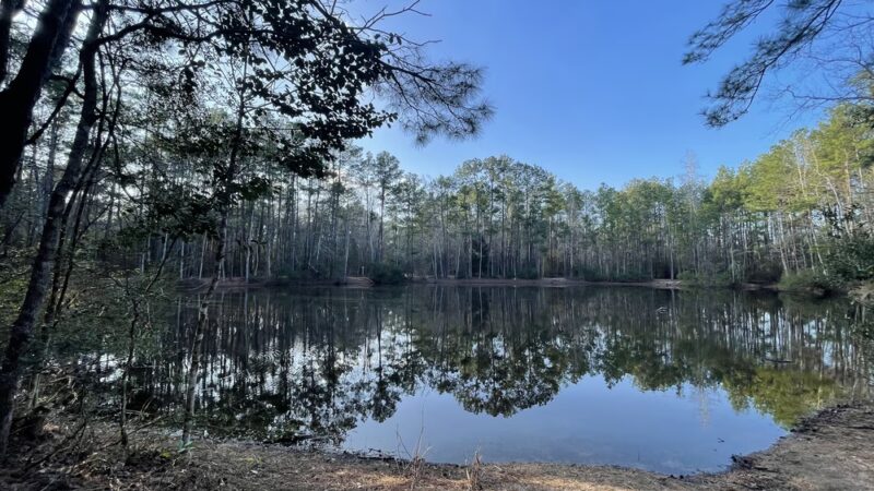 Pundt Park - Spring, TX