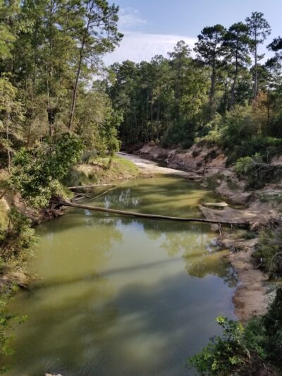 Pundt Park - Spring, TX