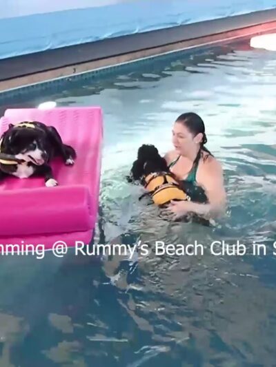 Rummy's Beach Club - Spring, TX