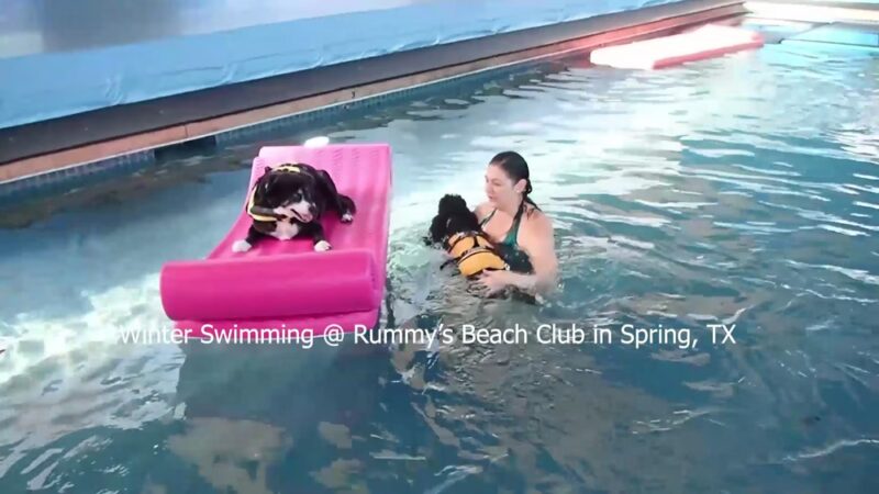 Rummy's Beach Club - Spring, TX
