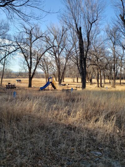 Springer Park - Springer, NM