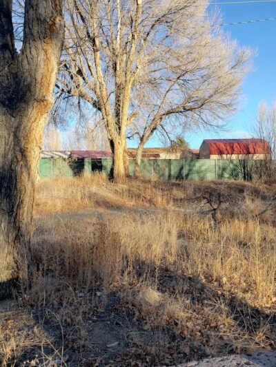 Springer Park - Springer, NM
