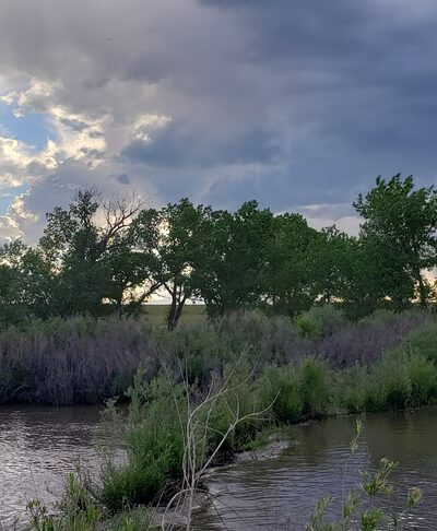 Springer Park - Springer, NM