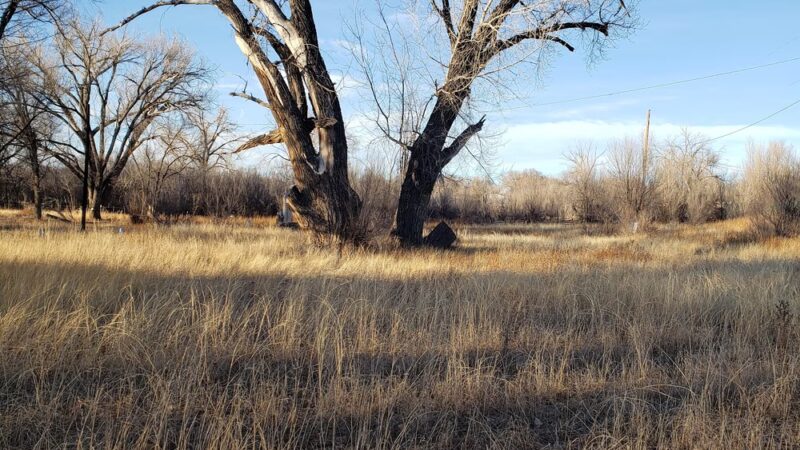 Springer Park - Springer, NM
