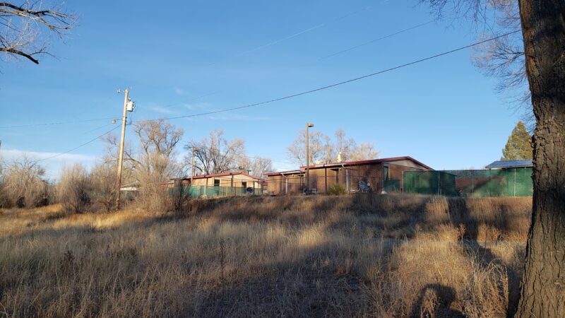 Springer Park - Springer, NM