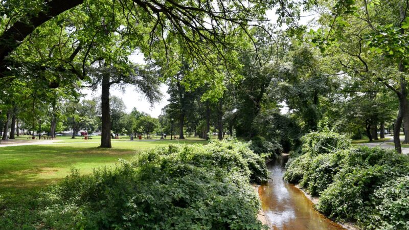 Brookville Park - Springfield Gardens, NY