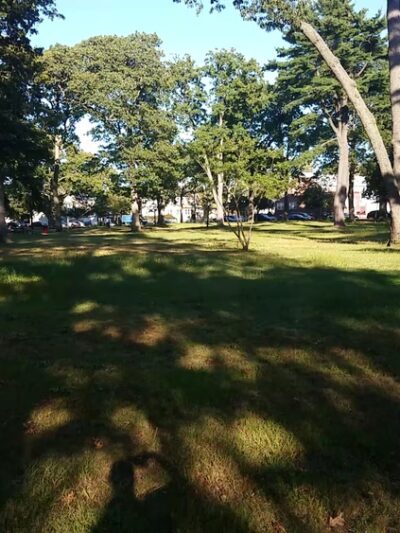 Brookville Park - Springfield Gardens, NY