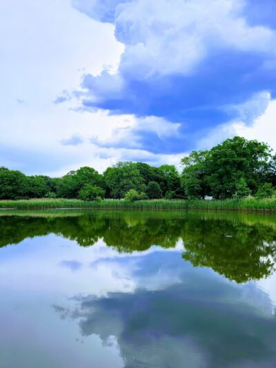 Brookville Park - Springfield Gardens, NY