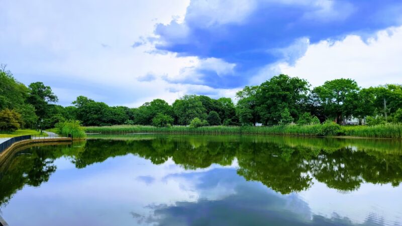 Brookville Park - Springfield Gardens, NY