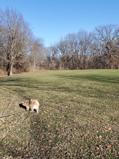 Jefferson Park - Springfield, IL