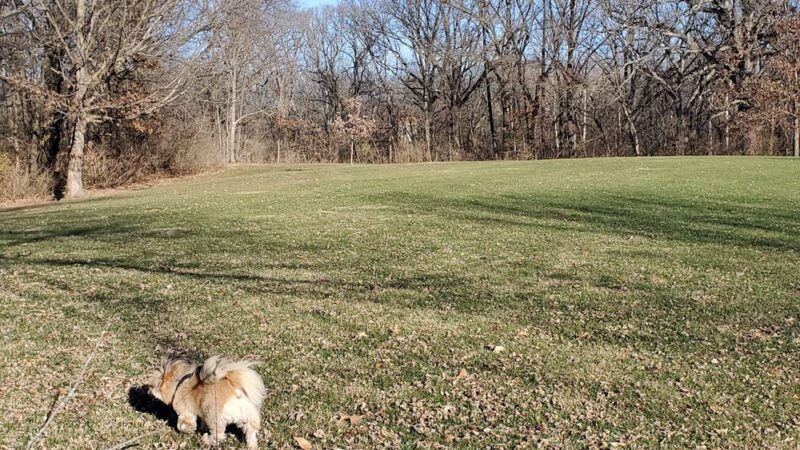 Jefferson Park - Springfield, IL