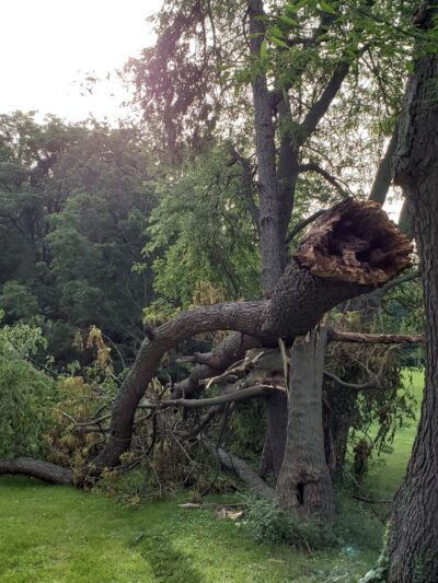 Jefferson Park - Springfield, IL