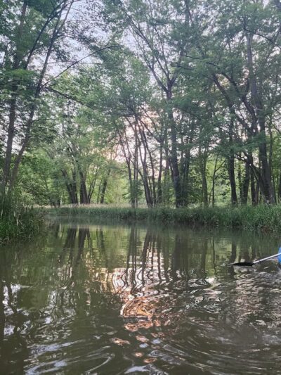 Lick Creek Preserve Hiking and Bike Trail - Springfield, IL