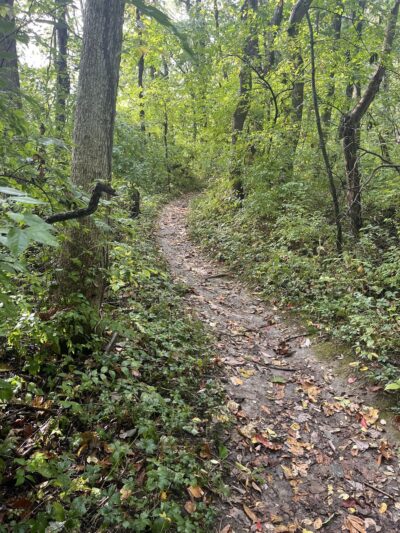Lick Creek Preserve Hiking and Bike Trail - Springfield, IL