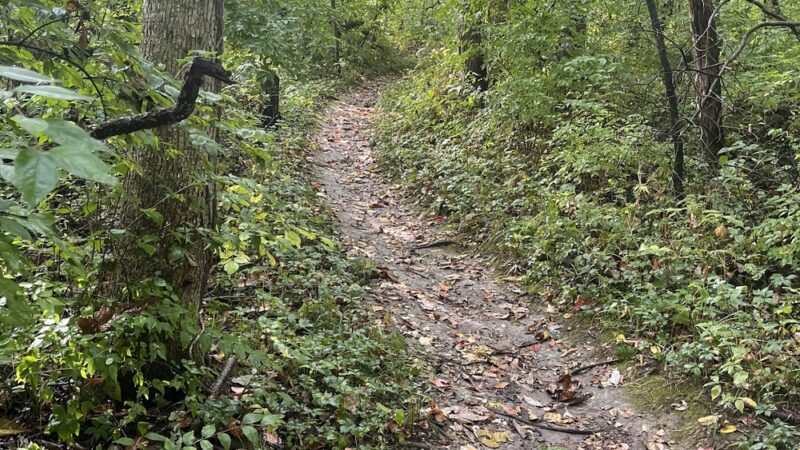 Lick Creek Preserve Hiking and Bike Trail - Springfield, IL