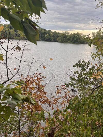 Lick Creek Preserve Hiking and Bike Trail - Springfield, IL