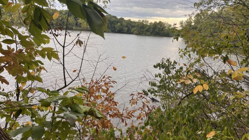 Lick Creek Preserve Hiking and Bike Trail - Springfield, IL