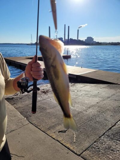 Spaulding Dam Boat Launch - Springfield, IL