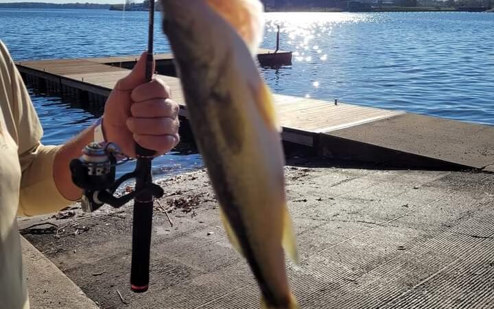 Spaulding Dam Boat Launch - Springfield, IL