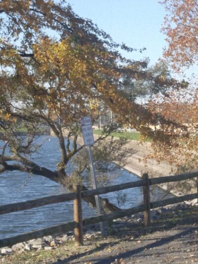 Spaulding Dam Boat Launch - Springfield, IL