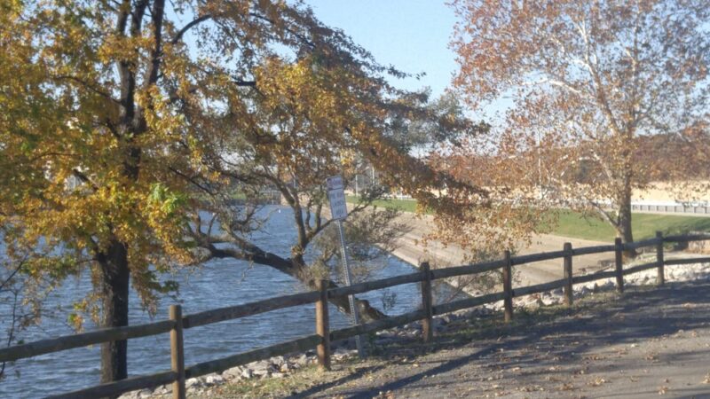 Spaulding Dam Boat Launch - Springfield, IL