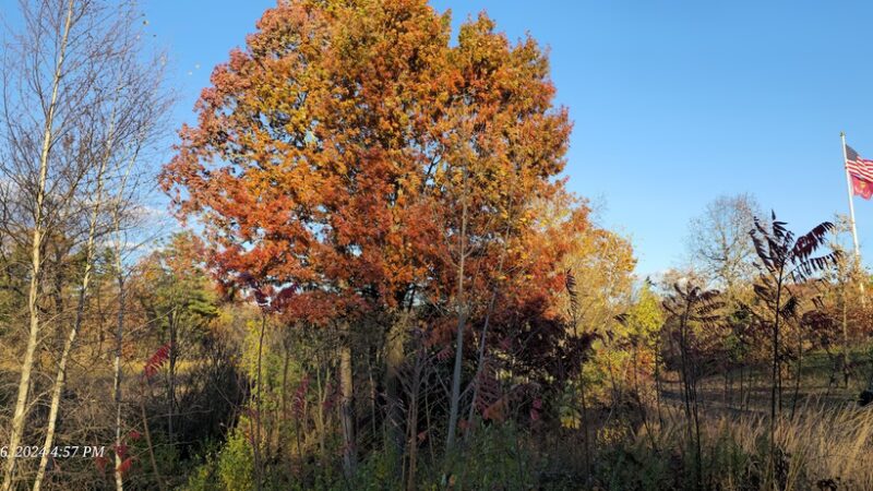 GYSGT Thomas J. Sullivan Park - Springfield, MA