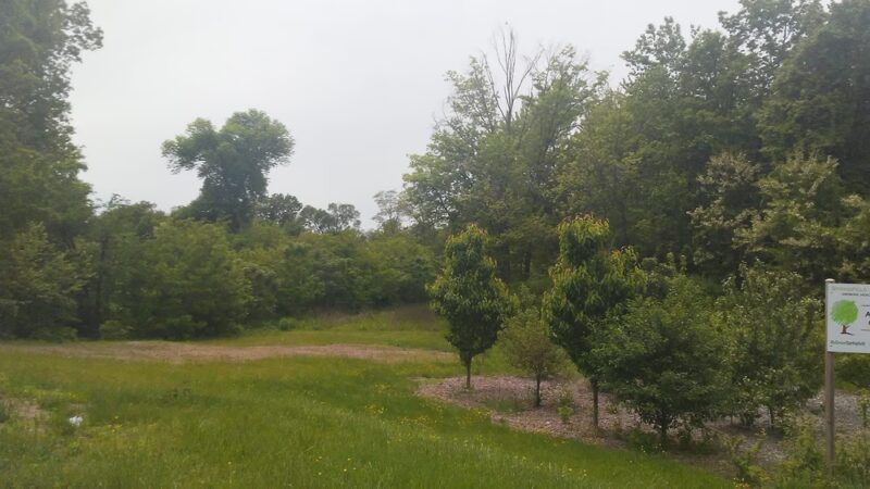 Jonny Appleseed Park - Springfield, MA