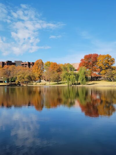 Chesterfield Park - Springfield, MO