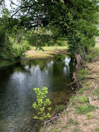 George Washington Carver Park - Springfield, MO
