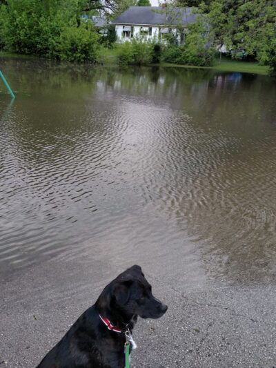 Jubilee Park - Springfield, MO