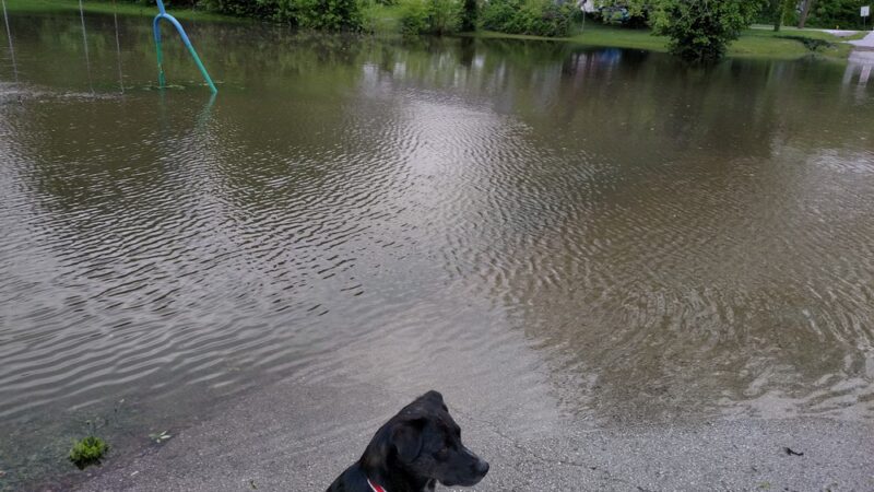 Jubilee Park - Springfield, MO